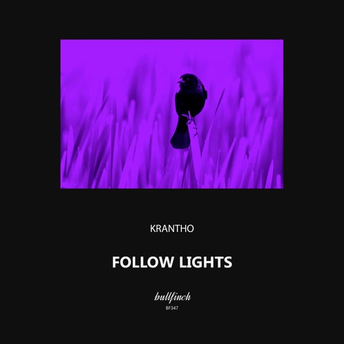 Krantho - Follow Lights [BF347]